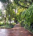 Fort Canning 3